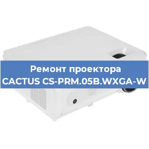 Замена матрицы на проекторе CACTUS CS-PRM.05B.WXGA-W в Нижнем Новгороде